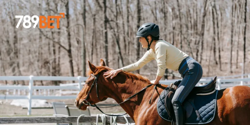 Mẹo đặt cược game đua ngựa hiệu quả