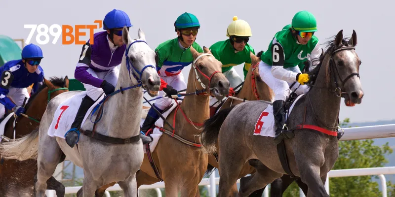 Sự Hấp Dẫn Của đặt cược game đua ngựa