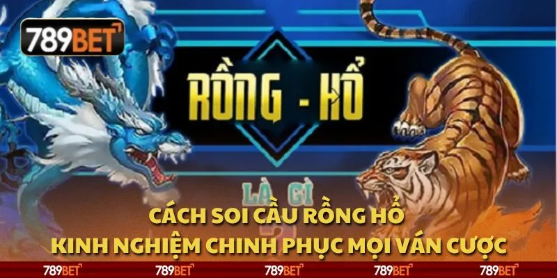 Cách soi cầu rồng hổ - Kinh nghiệm chinh phục mọi ván cược