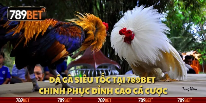 Đá gà siêu tốc tại 789Bet - Chinh phục đỉnh cao cá cược