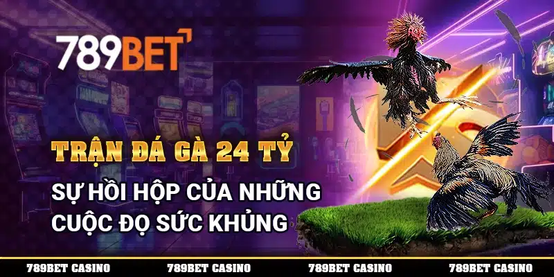 Trận Đá Gà 24 Tỷ