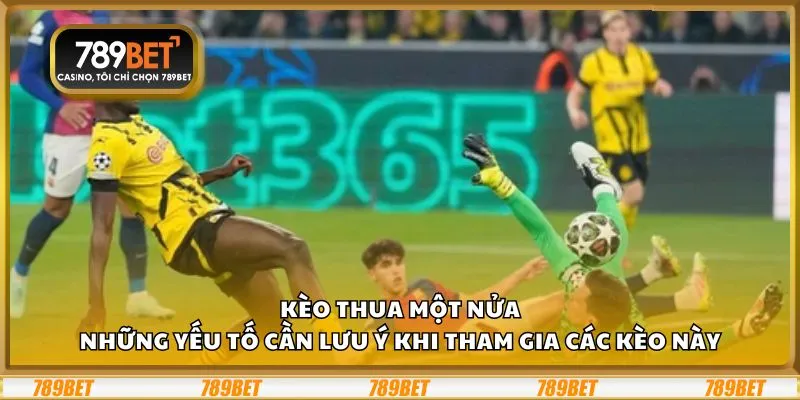 Kèo thua một nửa: Những yếu tố cần lưu ý khi tham gia các kèo này