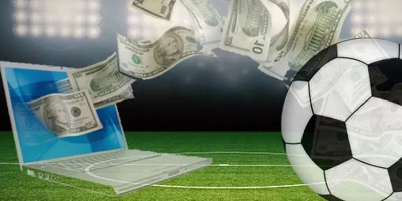 Lợi ích khi sử dụng bắt bạch thủ lô