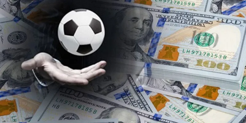 Các phương pháp về cách bắt bạch thủ lô hiệu quả