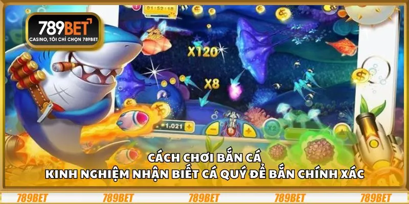 Cách chơi bắn cá: Kinh nghiệm nhận biết cá quý để bắn chính xác